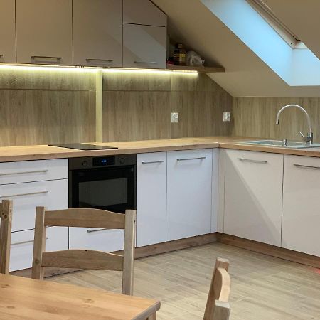 Mlynek Parkowa Apartment Zakopane Luaran gambar