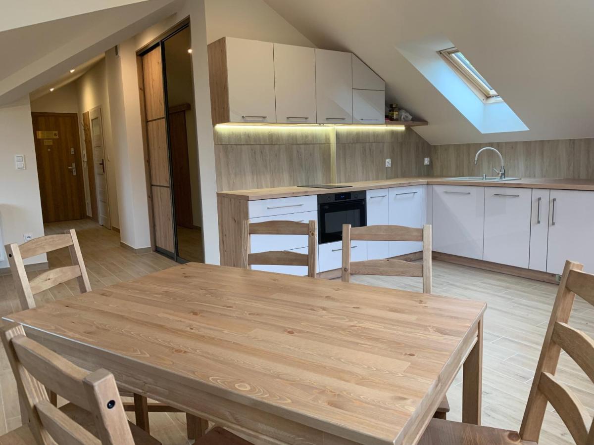 Mlynek Parkowa Apartment Zakopane Luaran gambar