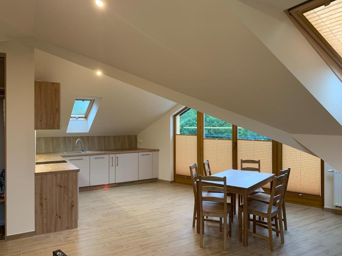 Mlynek Parkowa Apartment Zakopane Luaran gambar