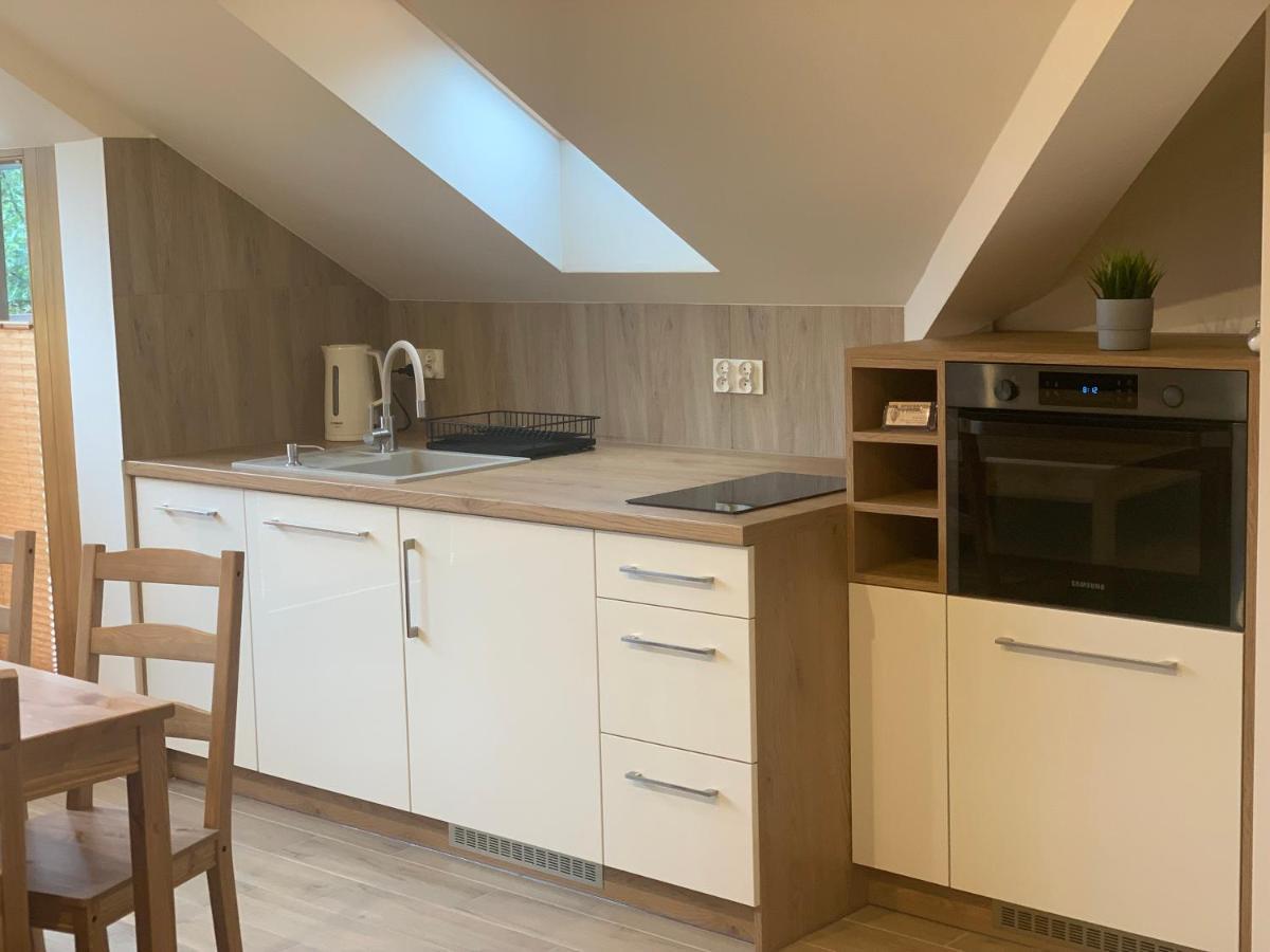 Mlynek Parkowa Apartment Zakopane Luaran gambar