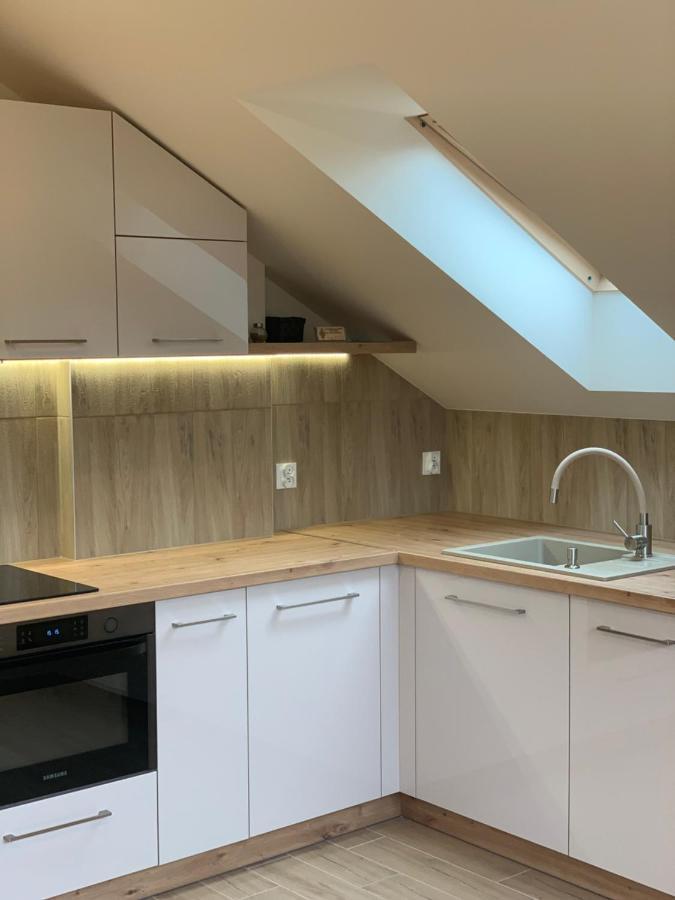 Mlynek Parkowa Apartment Zakopane Luaran gambar